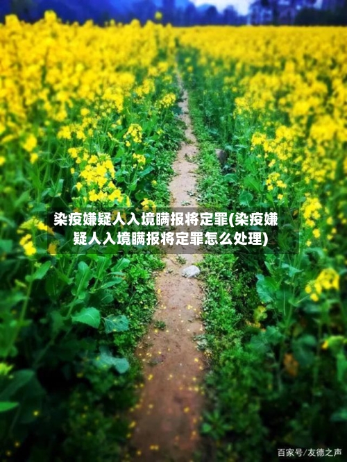 染疫嫌疑人入境瞒报将定罪(染疫嫌疑人入境瞒报将定罪怎么处理)-第1张图片