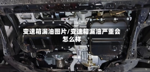 变速箱漏油图片/变速箱漏油严重会怎么样-第2张图片