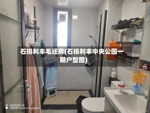 石排利丰毛坯房(石排利丰中央公园一期户型图)-第1张图片