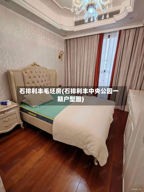 石排利丰毛坯房(石排利丰中央公园一期户型图)-第2张图片