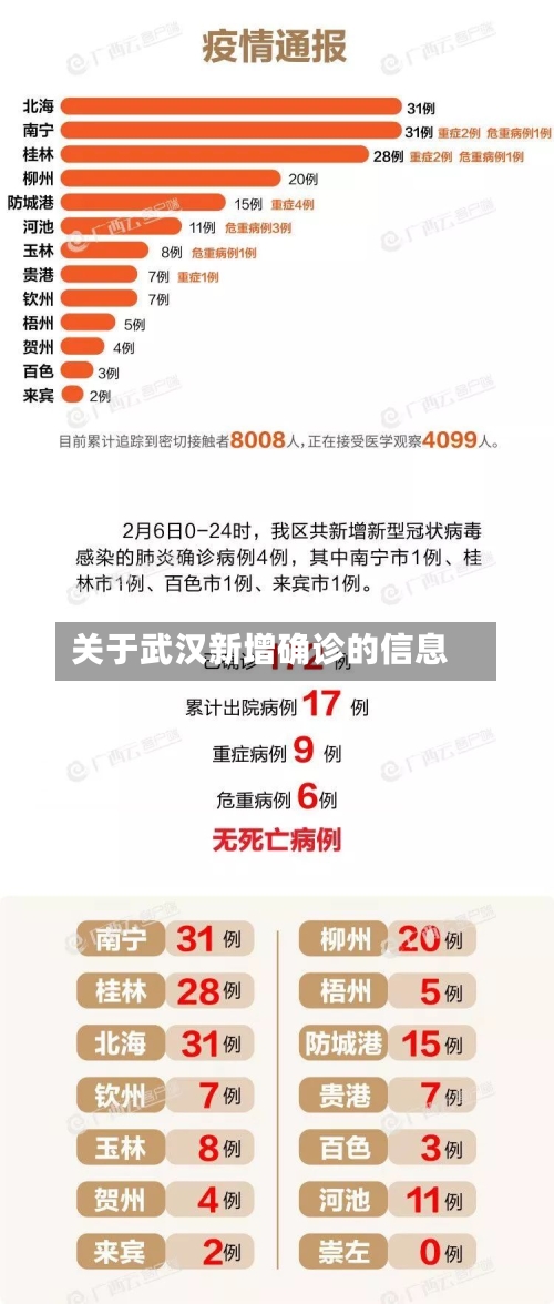 关于武汉新增确诊的信息-第2张图片