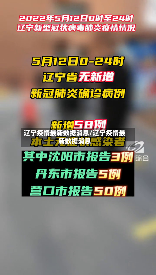 辽宁疫情最新数据消息/辽宁疫情最新数据消息-第2张图片