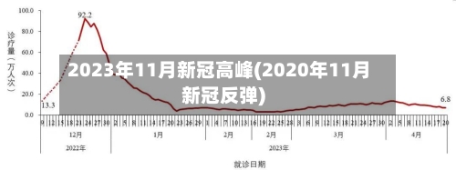 2023年11月新冠高峰(2020年11月新冠反弹)-第1张图片