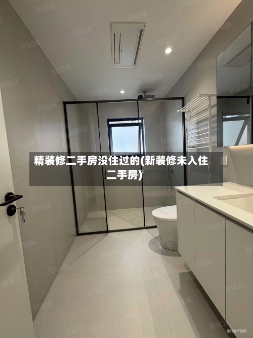 精装修二手房没住过的(新装修未入住二手房)-第2张图片
