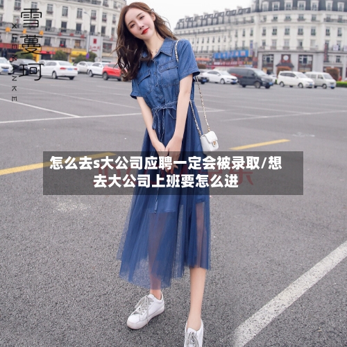 怎么去s大公司应聘一定会被录取/想去大公司上班要怎么进-第1张图片
