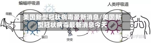 美国新型冠状病毒最新消息/美国新型冠状病毒最新消息今天-第1张图片