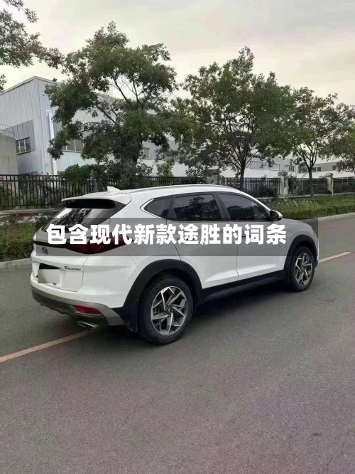 包含现代新款途胜的词条-第2张图片