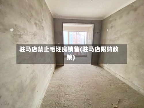 驻马店禁止毛坯房销售(驻马店限购政策)-第3张图片
