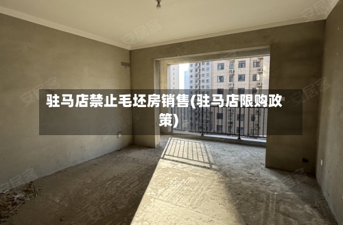 驻马店禁止毛坯房销售(驻马店限购政策)-第2张图片