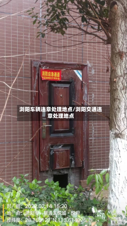 浏阳车辆违章处理地点/浏阳交通违章处理地点-第2张图片