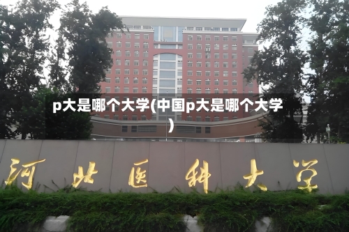 p大是哪个大学(中国p大是哪个大学)-第1张图片