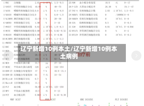 辽宁新增10例本土/辽宁新增10例本土病例-第2张图片