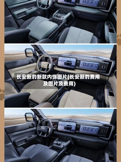 长安新豹新款内饰图片(长安新豹费用及图片及费用)-第3张图片