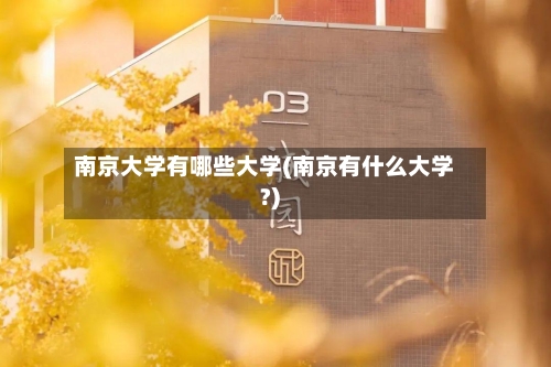 南京大学有哪些大学(南京有什么大学?)-第1张图片