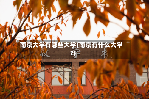 南京大学有哪些大学(南京有什么大学?)-第2张图片