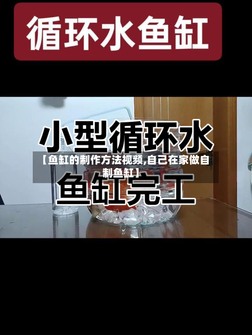 【鱼缸的制作方法视频,自己在家做自制鱼缸】-第1张图片