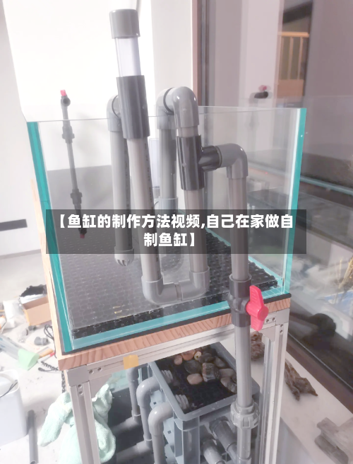 【鱼缸的制作方法视频,自己在家做自制鱼缸】-第2张图片