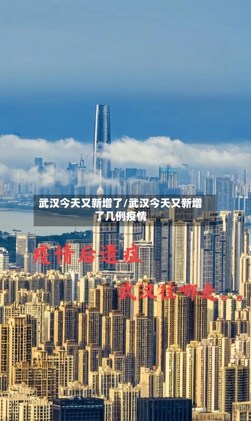 武汉今天又新增了/武汉今天又新增了几例疫情