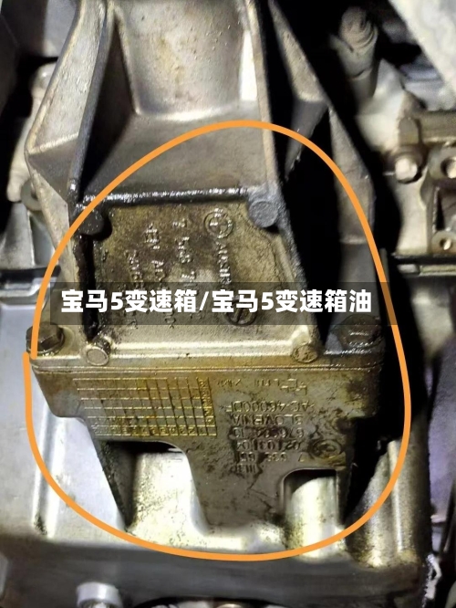 宝马5变速箱/宝马5变速箱油-第1张图片