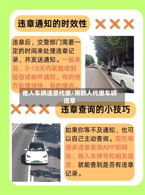 他人车辆违章代缴/用别人代缴车辆违章-第1张图片