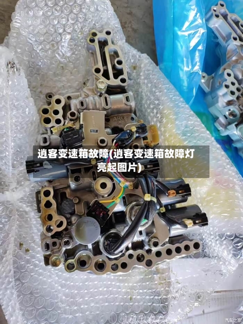 逍客变速箱故障(逍客变速箱故障灯亮起图片)-第2张图片