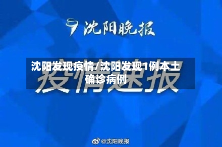 沈阳发现疫情/沈阳发现1例本土确诊病例
