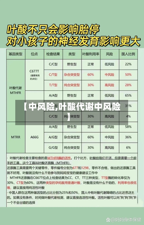 【中风险,叶酸代谢中风险】-第2张图片