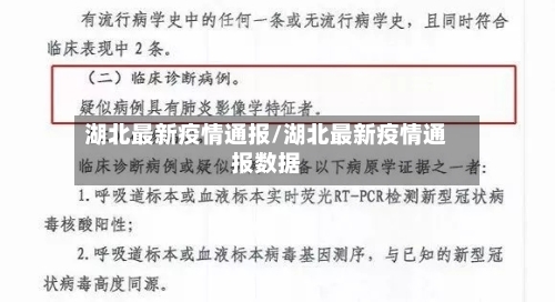 湖北最新疫情通报/湖北最新疫情通报数据-第2张图片