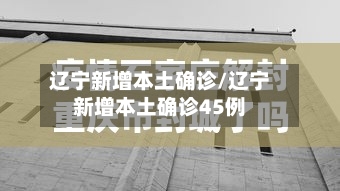 辽宁新增本土确诊/辽宁新增本土确诊45例-第2张图片