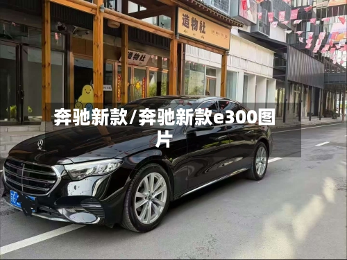 奔驰新款/奔驰新款e300图片-第1张图片