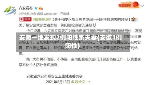 安徽一地发现2例阳性系夫妻(安徽1例阳性)-第2张图片