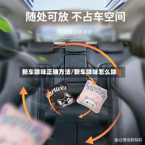 新车除味正确方法/新车除味怎么除-第2张图片