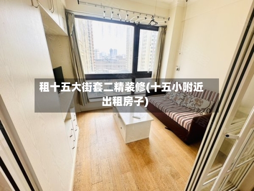 租十五大街套二精装修(十五小附近出租房子)-第2张图片
