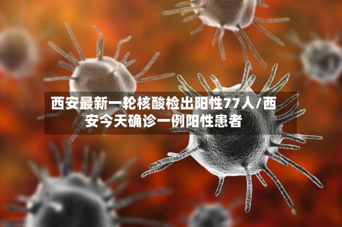 西安最新一轮核酸检出阳性77人/西安今天确诊一例阳性患者-第1张图片