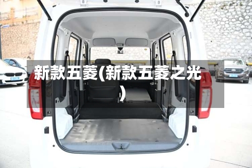 新款五菱(新款五菱之光)-第1张图片