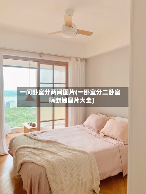 一间卧室分两间图片(一卧室分二卧室隔断墙图片大全)
