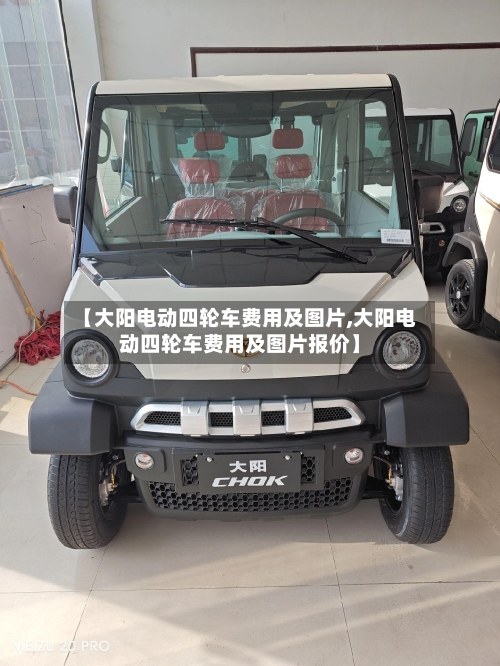 【大阳电动四轮车费用及图片,大阳电动四轮车费用及图片报价】-第1张图片