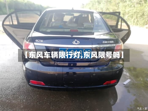 【东风车辆限行灯,东风限号吗】-第3张图片