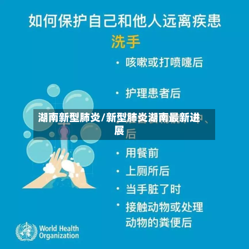 湖南新型肺炎/新型肺炎湖南最新进展
