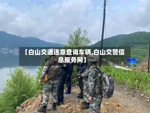 【白山交通违章查询车辆,白山交警信息服务网】-第1张图片