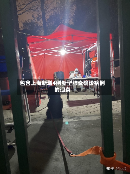 包含上海新增4例新型肺炎确诊病例的词条