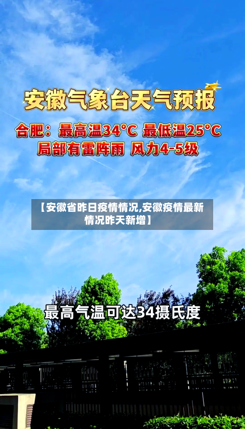 【安徽省昨日疫情情况,安徽疫情最新情况昨天新增】-第3张图片