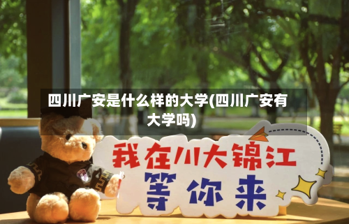 四川广安是什么样的大学(四川广安有大学吗)-第1张图片