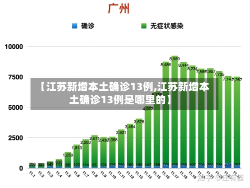 【江苏新增本土确诊13例,江苏新增本土确诊13例是哪里的】-第3张图片