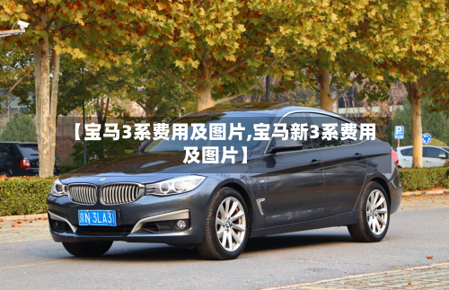 【宝马3系费用及图片,宝马新3系费用及图片】-第2张图片