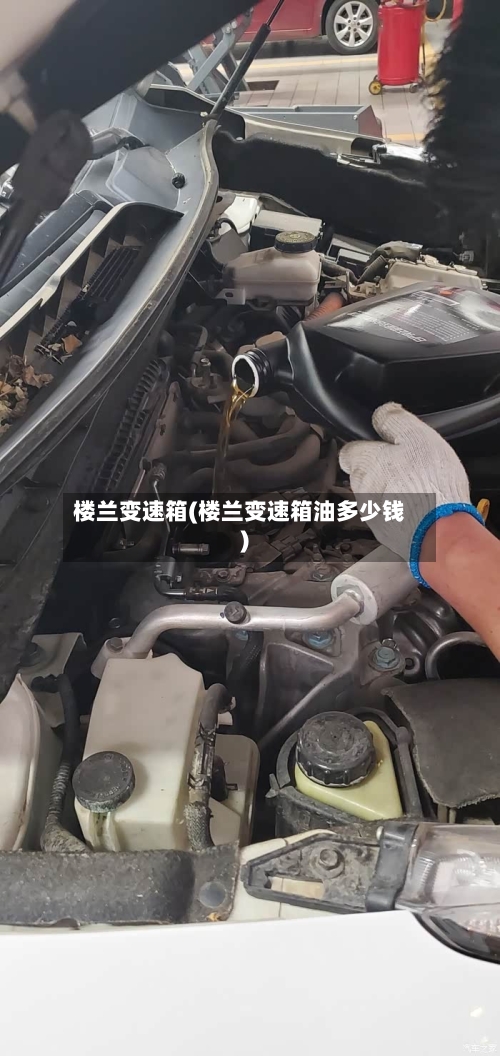 楼兰变速箱(楼兰变速箱油多少钱)-第2张图片