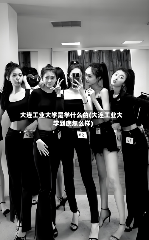 大连工业大学是学什么的(大连工业大学到底怎么样)-第3张图片