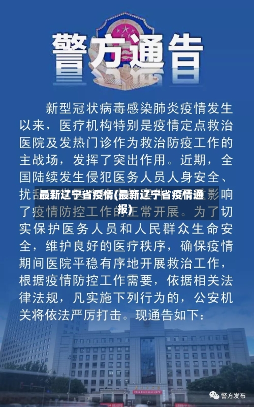 最新辽宁省疫情(最新辽宁省疫情通报)-第2张图片