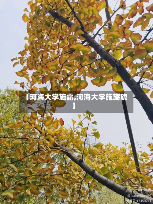 【河海大学施露,河海大学施旖旎】