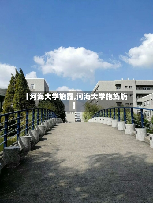 【河海大学施露,河海大学施旖旎】-第2张图片